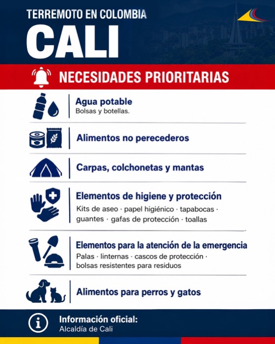 Necesidades prioritarias Cali